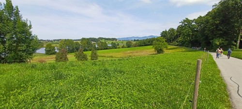 IMG-20250807-WA0006.jpg