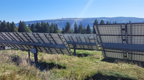 MR TVT Turnfahrt 2025 Mont Soleil - Jura (1.7).jpg