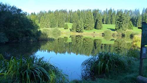 MR TVT Turnfahrt 2025 Mont Soleil - Jura (1.17).JPG