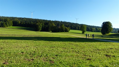 MR TVT Turnfahrt 2025 Mont Soleil - Jura (1.20).JPG