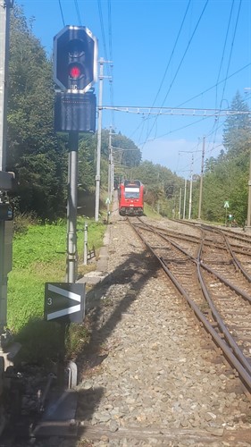 MR TVT Turnfahrt 2025 Mont Soleil - Jura (1.26).jpg