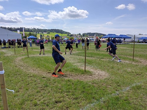 IMG_20260607_121302_HDR.jpg
